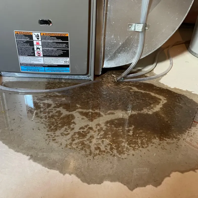 Appliance Leak Cleanup in Brunswick County, NC